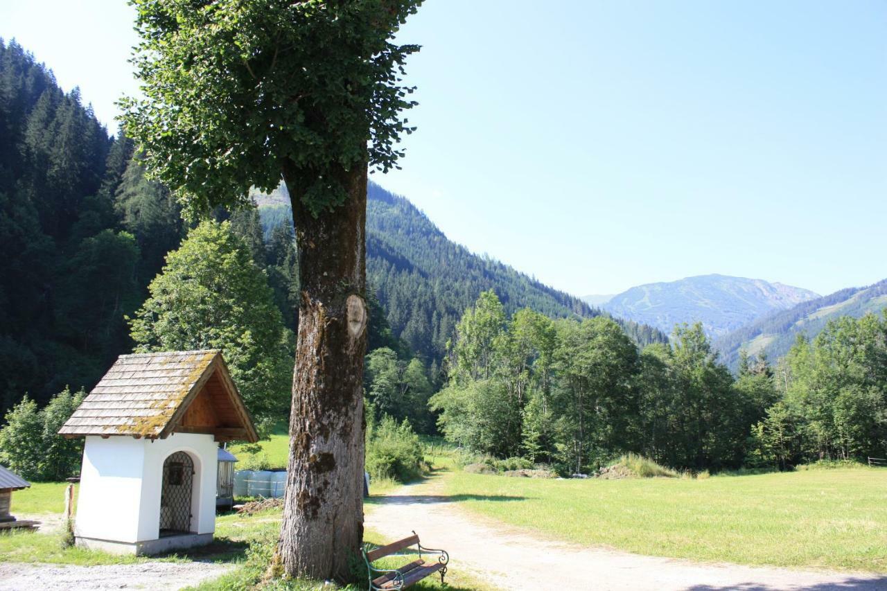 Chalet Ferienhaus Radmer Radmer an der Hasel Exterior foto